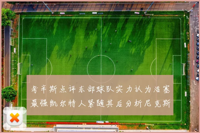 考辛斯点评东部球队实力认为活塞最强凯尔特人紧随其后分析尼克斯不足之处