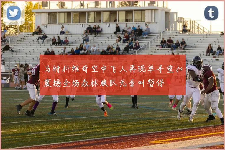 马特科维奇空中飞人再现单手重扣震撼全场森林狼队无奈叫暂停