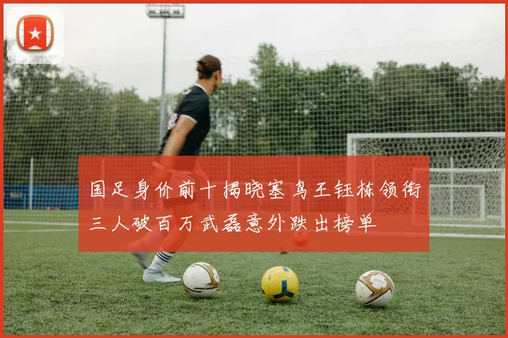 国足身价前十揭晓塞鸟王钰栋领衔三人破百万武磊意外跌出榜单